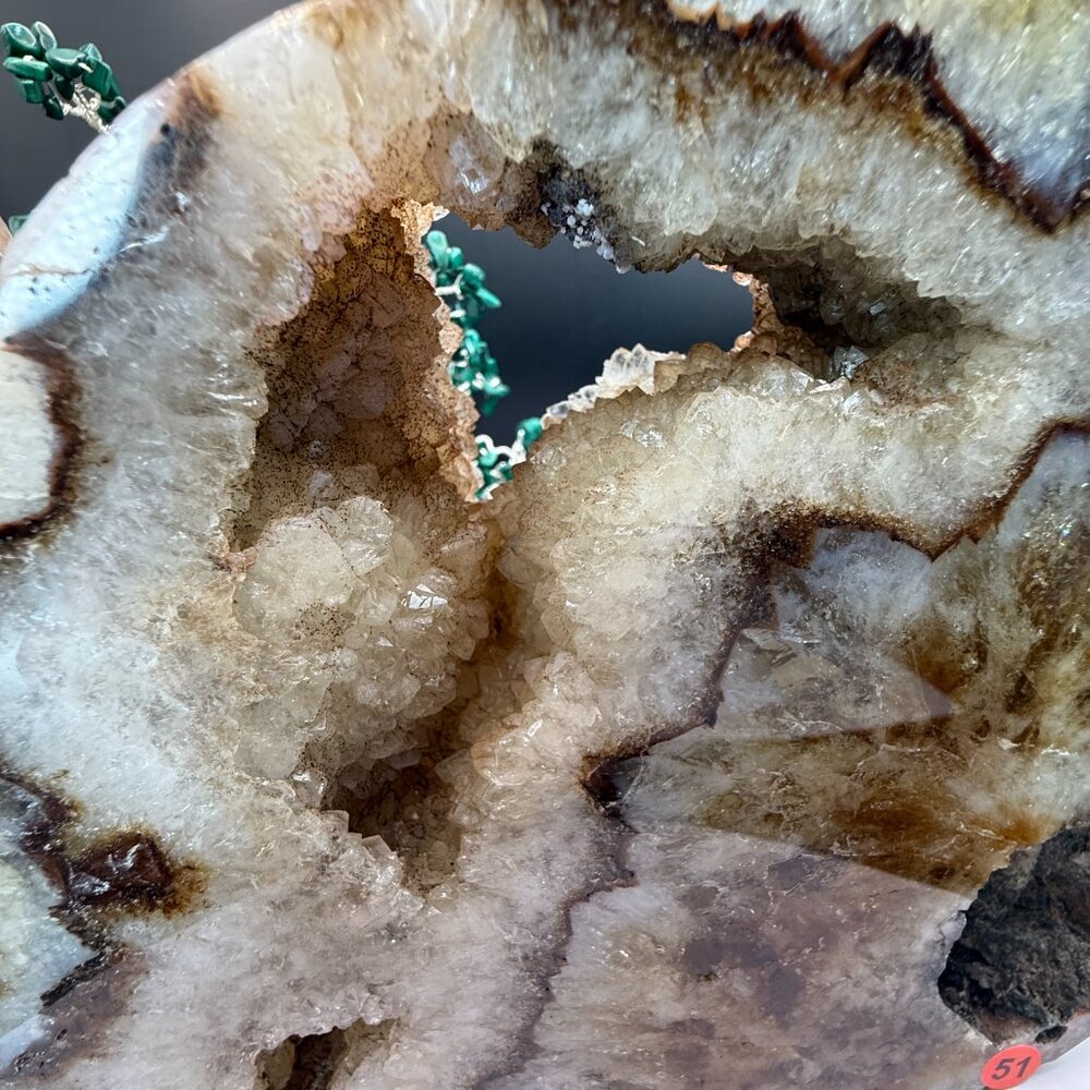Citrine Cat Carving Extra Large Heat Treated Amethyst Quartz Crystal Animal 51 - Picture 6 of 16